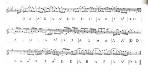 ritka_tempo_1